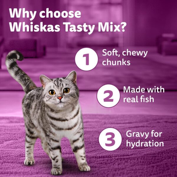 71SqdwwiBL._SL1100_.jpg Whiskas Tasty Mix Adult (1+ Year) Wet Cat Food, Chicken with Tuna & Carrot in Gravy, 70 g, Pack of 28| Made with Real Fish| Complete & Balanced Nutrition for Adult Cat