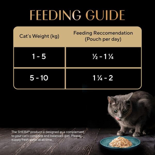 71W5grHaOL._SL1500_.jpg Sheba Rich Premium Adult (1+ Years) Wet Cat Food, Maguro & Bream Flavour, 35 g Pouch (Pack of 12), High-moisture wet food for healthy hydration