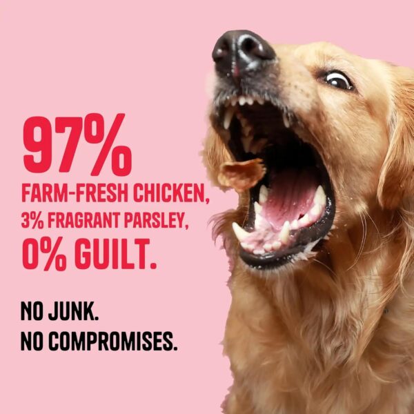 71kqLkC50L._SL1500_.jpg Muttley Crew Dog Jerky Lean Chicken Meat | Healthy Adult Dog Treats for Easy Digestion | All Natural | Grain-Free | Gluten-Free | No Preservatives | No Artificial Flavour (50 Grams)
