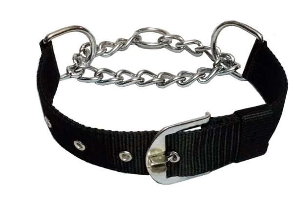 PSK PET MART Dog Choke Pet Nylon Half Chain Collar Half Choker Stainless Steel Dogs Collars 1 Piece Size - 1.25 inch Large (Color May Vary)(Pack of 1)