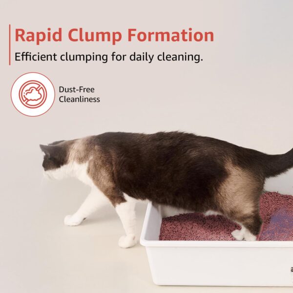 Amazon Basics Premium Tofu Cat Litter | 2.5 Kg |Organic | Biodegradable | Flushable | Dust-Free | Instant Clumping | Mild Peach Fragrance