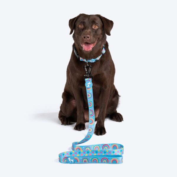 HUFT Over The Rainbow Dog Leash - Blue - S
