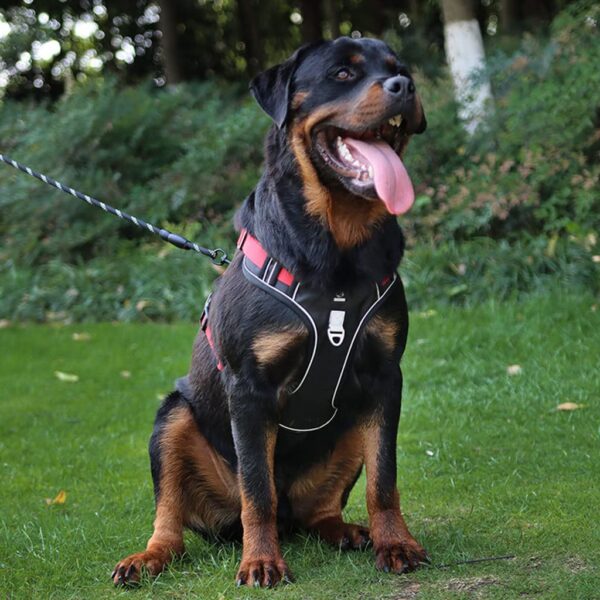 71-8KUutNPL._SL1024_.jpg Qpets® No Pull Dog Harness with Safety Reflective Strip Quick Release Buckle Adjustable Size Easy Control Handle for Medium Large Dog (Red, XL, Recommended Weight: 22.5kg-45kg)