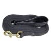 Padded Dog Training Lead Dog Leash 5 Feet Long Leash for Dogs (1" Wide by 5 Ft, Blue Colour)