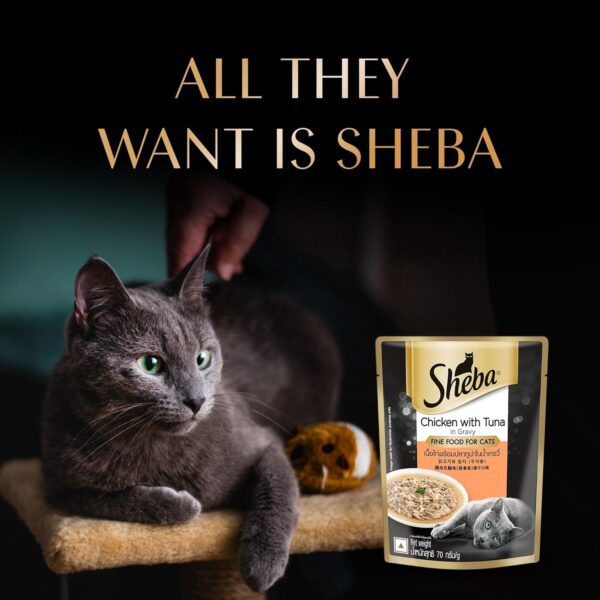71-PutrCUdL._SL1500_.jpg Sheba Fine Premium Adult (1+ Years) Wet Cat Food, Chicken with Tuna in Gravy, 70 g Pouch (Pack of 28), High-Moisture Gravy cat Food for Healthy Hydration