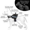 71-akrHQgkS._SL1500_.jpg Hachiko Dog Harness with Rope | No Pull Dog Body Belt | Reflective Dog Vest Oxford Fabric | Soft Padded Easy Control Dog Chest Neck Belt | No More Pulling Or Choking (Small, Blue,Red)