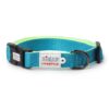 Zigly Lifestyle Adjustable Dog Collar-XS (15mm), Neon Green-Classic Padded Dog Neck Collar for Small Dogs & Puppies | Comfortable & Durable Dog Collar Belt