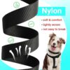71-ptL6-76L._SL1500_.jpg No Pull Dog Harness - Step in Dog Harness and Leash for Small Medium Large Dog - Escape Proof Adjustable Soft Leash Collar Set for Walking Training Hiking Outdoor, 15 Cm, 15 Cm