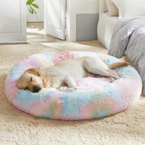 ZEXSAZONE Rainbow Dog Bed – Soft Plush Comfortable Washable Pet ZEXSAZONE Rainbow Dog Bed – Soft Plush Comfortable Washable Pet for Medium Dogs & Cats, Cozy All-Weather Round Cushion Bed for Puppies & Pets (Medium, Rainbow Color)