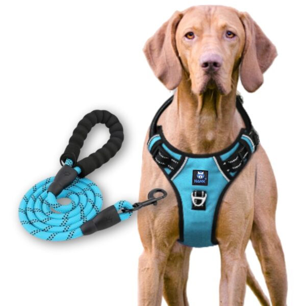 HANK Dog Harness Leash Set - Soft Comfortable Handle - HANK Dog Harness Leash Set - Soft Comfortable Handle - Dog Vest for Small Breed - No Pull Harness - Dog Vest for Training - Walking (Cyan Blue - S (Harness + Leash)