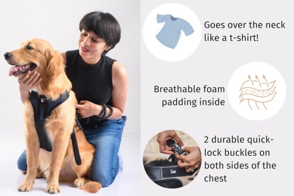 710hcQI0L._SL1500_.jpg Diggin All-Day Dog Harness - Adjustable, Durable & Reflective Vest Harness for Outdoors - High Denier Ripstop Fabric with Industrial Strength Nylon Webbing (Small | Medium, Sand Beige)