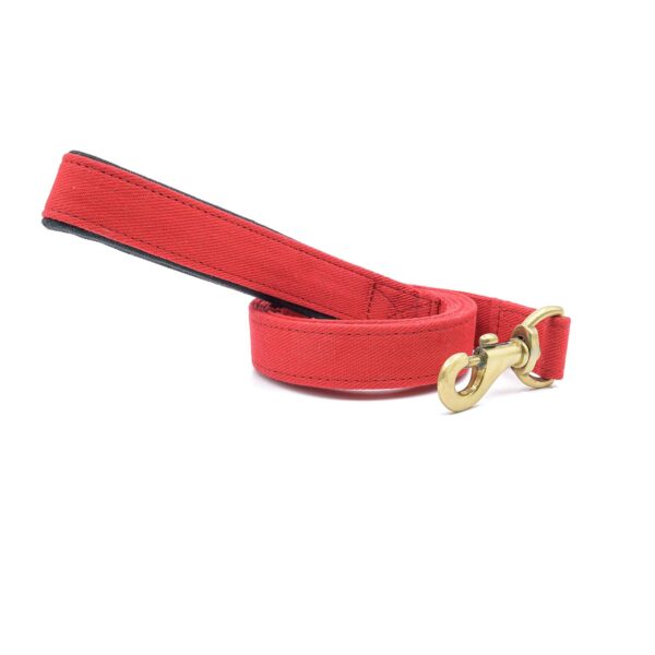 PetWale Dog Leash with Padded Handle | Suited for Walking, Running, Training & More | Red Fabric | Easy to Clean & Maintain | Durable & Sturdy | L: 5 feet, W: 1 inch