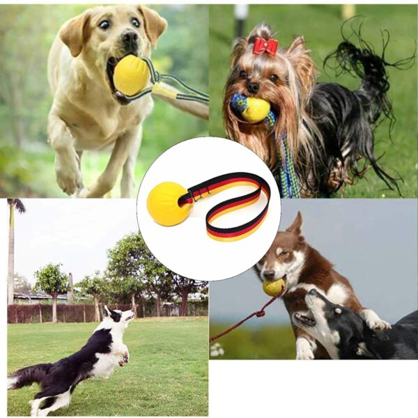 710DeSGKsIL._SL1500_.jpg Ball with Rope, Durable Dog Toys for Large Dogs and Puppies, Interactive Dog Rope Toy for Training and Play Ball for Dental Clean(15.7in)