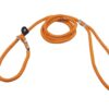 RvPaws Dog Training Leash Slip Leash, Adjustable Length, Strong & Durable Training Show Leash,Soft Nylon Rope I Leather Adjustable, Length 5 Feet X 1 CM - Pack of 1 (Multicolor)