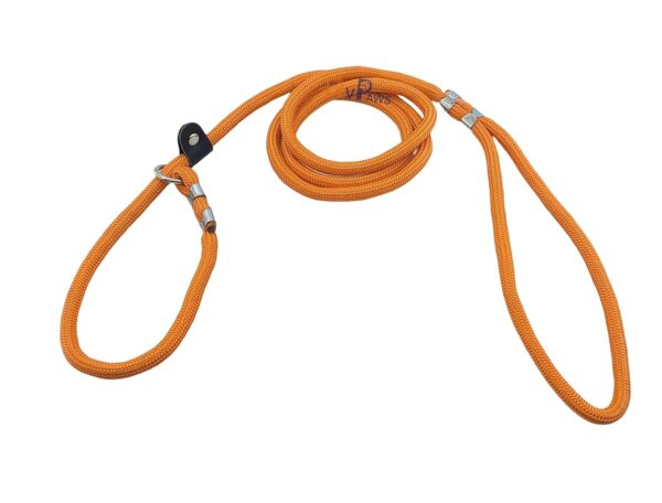 RvPaws Dog Training Leash Slip Leash, Adjustable Length, Strong & Durable Training Show Leash,Soft Nylon Rope I Leather Adjustable, Length 5 Feet X 1 CM - Pack of 1 (Multicolor)