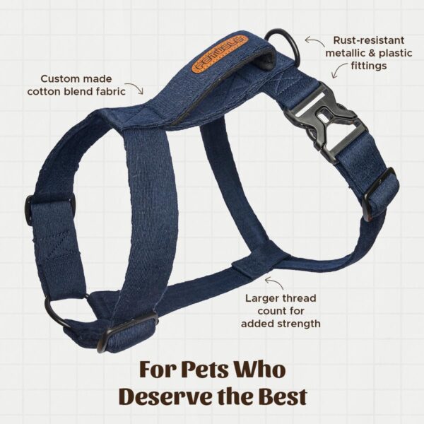 PetWale Dog H Harness | Cotton Material | Adjustable & Durable | Skin & Fur Friendly | Ultimate Comfort for Long Hours | 3 Point Adjustments | Strong Material & Secured Fit | Navy Blue - Small