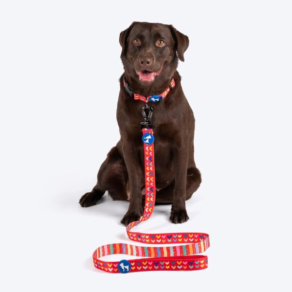 710Ofwk20vL._SL1500_.jpg HUFT Heart to Heart Dog Leash - Red - S