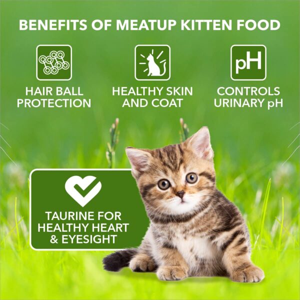 710lViHvPzS._SL1200_.jpg Meat Up Adult Cat Food, Ocean Fish - 1.2 kg Pack (Buy 1 GET 1 Free) & Meat Up Kitten Cat Food, 1.2 kg (Buy 1 GET 1 Free)