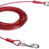 Amazon Basics Tie-Out Cable/ Leash for Dogs Up to 57 kg | 30 Feet | Red | Large Size | Durable Metal Clips for Quick and Easy Connections