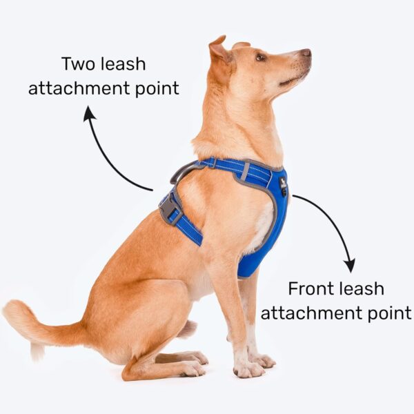 7117Cr73CL._SL1500_.jpg HUFT Active Pet Dog Harness - Royal Blue (S) | Lightweight Adjustable Harness for Puppies, Small Dogs, and Medium Dogs | Durable and Stylish Dog Leash and Harness for Training & Everyday Use