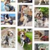 Indihopshop Personalised Dog Harness | Custom Harness with Dog Name and Contact Number | 10+ Designs | Reflective | Adjustable (Super Paws, S)