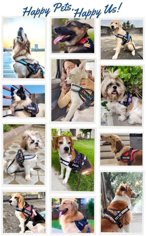 Indihopshop Personalised Dog Harness | Custom Harness with Dog Name and Contact Number | 10+ Designs | Reflective | Adjustable (Super Paws, S)
