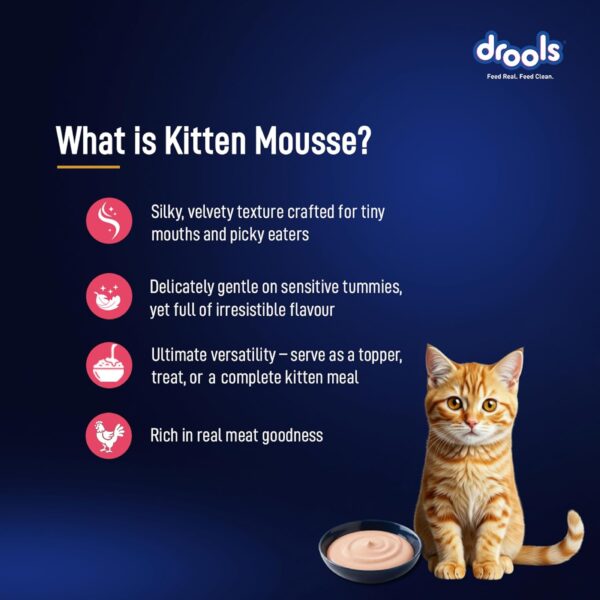 Drools Kitten Cat Wet Mousse 80gm | Salmon | Rich in Protein, Promotes Hydration & Easy to Digest | Grain Free, No Artificial Flavours | Packed with Essential Vitamins & Antioxidants