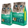 OdourLock Calming Breeze Scented Ultra Premium Cat Litter -Blocks Ammonia, Dust-Free, Extra-Hard Clumping, 40-Day Odor Control, Quick Absorption, No Tracking, Multi-Cat Friendly, Made in Canada 12kg