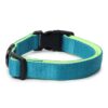 Zigly Lifestyle Adjustable Dog Collar-XS (15mm), Neon Green-Classic Padded Dog Neck Collar for Small Dogs & Puppies | Comfortable & Durable Dog Collar Belt