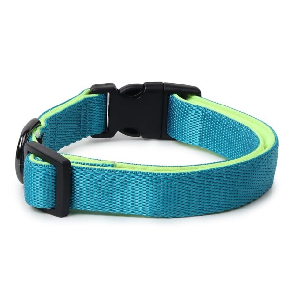 Zigly Lifestyle Adjustable Dog Collar-XS (15mm), Neon Green-Classic Padded Dog Neck Collar for Small Dogs & Puppies | Comfortable & Durable Dog Collar Belt
