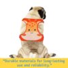 Emily Pets Dog Harness for Small Medium Large Size Dogs, Non-Pulling Military Tactical Service Vest with Adjustable and Comfortable for Easy Walking (Sky Blue, M)