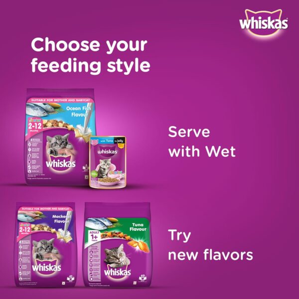 Whiskas Junior Mother Cat & Kitten (2-12 Months) Dry Cat Food, Ocean Fish Flavour, 450 g, Contains 41 Essential Nutrients, Complete & Balanced Nutrition for Mother Cats & Kittens (Pack of 2)
