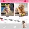 711ytIbEr5L._SL1500_.jpg Smart Pet Leash Automatic with Padded Feature and Feather Decoration for Dogs Dog Traction Rope Chain Automatic Retractable Dog Walking Rope Pet Leashes Retractable Pet Leash (3M-15Kg)