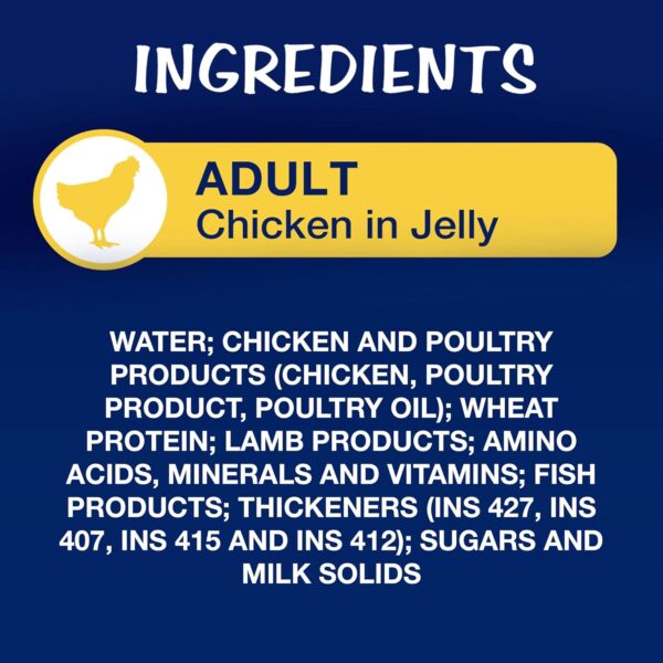 7120ycibvcL._SL1500_.jpg Purina Felix® As Good As It Looks Wet Food for Adult Cats|Complete and Balanced Cat Food |Chicken Flavour|Pack of 24 Pouches (12 x 85 g)