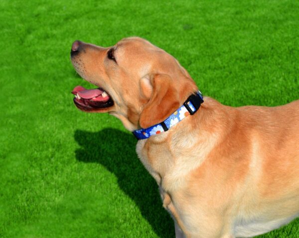 Qpets Nylon Bohemia Style Dog Collar With Patterns Adjustable 40-60Cm Soft Comfy Pet Collars Dog Belt For Small Medium Large 30-40Kg Dogs (Size:L), Multicolor