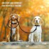 Active Pets Heavy Duty Nylon Dog Leash | 3M Highly Reflective Dog Rope Leash | Soft Padded Handly Dog Belt for Medium Large Dogs Walking Running Leash (Black)
