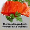 712g758tuIL._SL1500_.jpg Purepet Adult Dry Cat Food Sea Food Flavour, 1 kg Pack