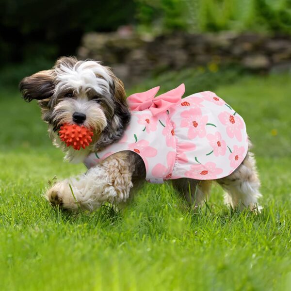712oxivxYxL._SL1500_.jpg KUTKUT Floral Pattern Dog Dress with Lovely Bow Pet Apparel Dog Clothes for Small Breed Dogs and Cats | Puppy Summer Dress | Dogs and Cats Birthday Pet Apparel Dresses (Size:L, Bust:42cm, Length:32cm)