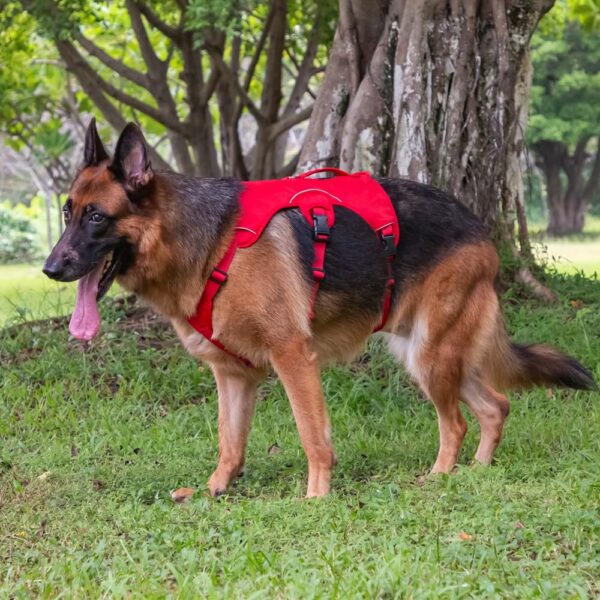 Outdoor Sports Harness for Dog Safety | Adjustable Pet Vest with Easy Control Handle for Outdoor Adventures Red