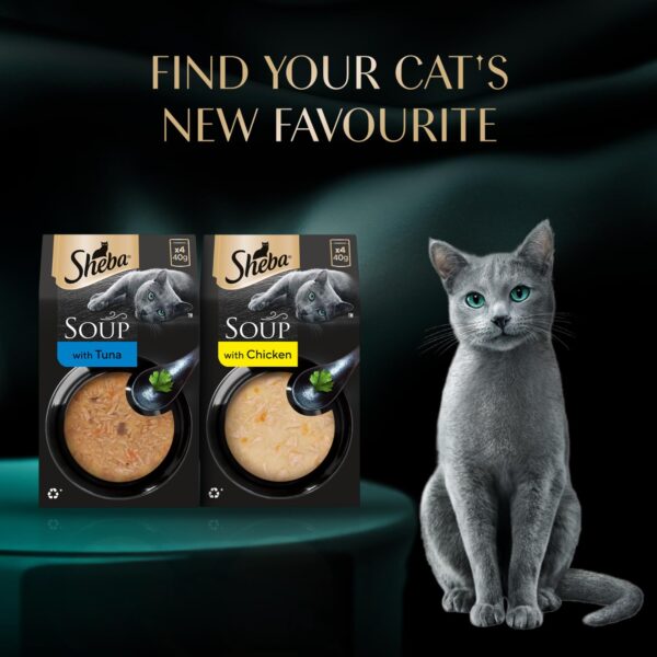 7133wEdThgL._SL1500_.jpg Sheba Soup with Tuna Adult Wet Cat Food, 160g (4 x 40g), Finely Sliced Pieces of Tuna in Smooth, Silky and Velvety Broth (Pack of 4)