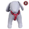 713jamZebRS._SL1000_.jpg Pets Like Poly Body Belt, Red (Medium)