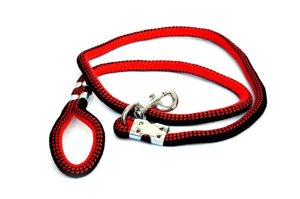713l5bgRi0L._SL1500_.jpg Dogista Pet Products Cotton Dog Rope 18Mm (Color May Very), Large