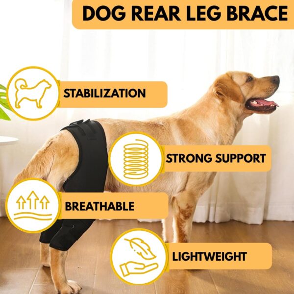 713sU-oyNYL._SL1500_.jpg Western Era Dog Disability Leg Support Brace | Rear & Front Leg Injury Aid for Arthritis, Mobility, Sprain Recovery | Wrap for Disabled Dogs with Padding | Helps Walking, Balance, Joint Relief (Left)