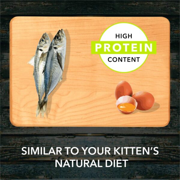 713yDqcpBwL._SL1500_.jpg Meat Up Kitten(1-12 months) Dry Cat Food ,Ocean Fish,600g (Buy 1 Get 1 Free ) Total 1.2Kg Pack