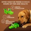 What's Poppin Crocodile Squeaky Dog Toy for Chewing, Fetch & Interactive Play | Textured Pet Toy for Dogs & Puppies | Built-in Squeaker, Gum Massage & Dental Care | Fun Alligator Chew Toy for Pets