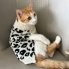 714FcQVzOaL._SL1500_.jpg Lulala Turtleneck Winter Sweater for Small Dogs – Warm Knitwear for Boys & Girls | Soft Pet Clothes with Leash Hole | Cozy Autumn/Winter Dog Apparel