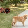 Pets Empire Retractable Dog Leash Walking Jogging Training Leash with Polyester Tape with Hand Grip and One Button Brake & Lock (Medium) 5mm / 16 Feet Long Orange Color