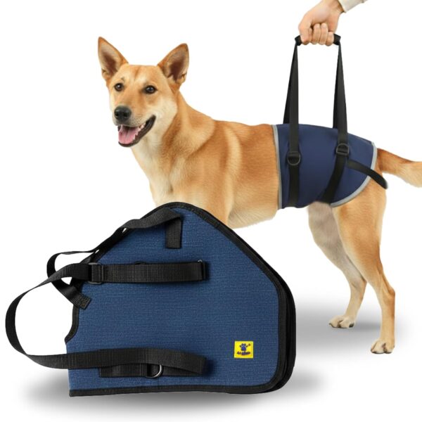 A+a Pets' Dog Lift Support Harness for Hind/Back Legs | for Disable Aged Injured Paralysed Arthritis Pets (Navy, L)