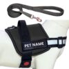 Customized Dog Harness Leash with Name | Personalized Harness for Customized Dog Harness Leash with Name | Personalized Harness for Large Dogs | Adjustable, Reflective, Choke Free, Reflective (L, Black) (for 24-35 Kg Pet)