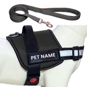 Customized Dog Harness Leash with Name | Personalized Harness for Customized Dog Harness Leash with Name | Personalized Harness for Large Dogs | Adjustable, Reflective, Choke Free, Reflective (L, Black) (for 24-35 Kg Pet)